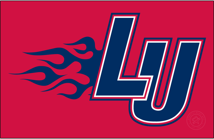 Liberty Flames 2000-2003 Primary Dark Logo iron on transfers for clothing